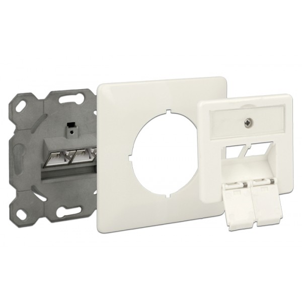 DELOCK Modular Wall Outlet Δικτύου, Cat.6A, 2x LSA, 2 Port