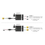 DELOCK USB-C switch 18911, 2 σε 1 bidirectional, 10Gbps, 8K, 100W, μαύρο