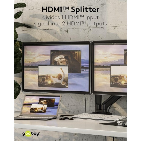 GOOBAY HDMI splitter 58480, 1-in σε 2-out, 4K/30Hz, μαύρο