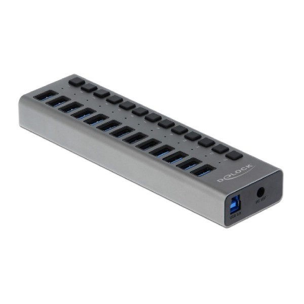 DELOCK hub 13x USB με διακόπτες 63738, USB 3.0, 5Gbps, LED, γκρι