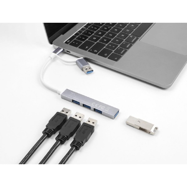 DELOCK USB hub 64214, 4x USB θύρες, USB & USB-C σύνδεση, γκρι