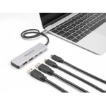 DELOCK USB-C hub 64230, 2x USB/2x USB-C θύρες, 10 Gbps, γκρι