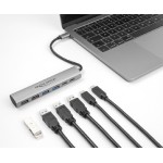 DELOCK USB-C hub 64232, 4x USB/2x USB-C θύρες, 10Gbps, γκρι