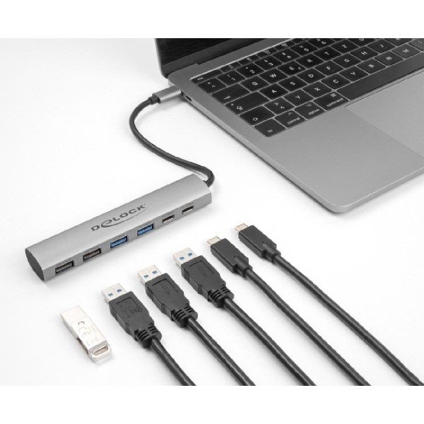 DELOCK USB-C hub 64232, 4x USB/2x USB-C θύρες, 10Gbps, γκρι