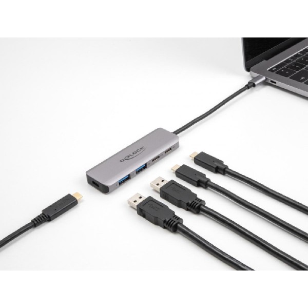 DELOCK USB-C hub 64239, 2x USB/2x USB-C θύρες, 5Gbps, γκρι