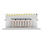 DELOCK patch panel 66871 για καμπίνα δικτύου 10