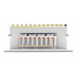 DELOCK patch panel 66873 για καμπίνα δικτύου 10