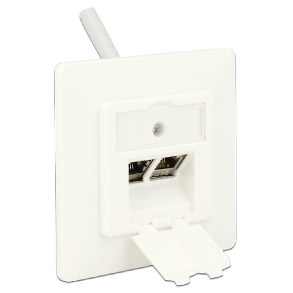 DELOCK Wall Outlet για Keystone 86219, 2 Port