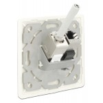 DELOCK Wall Outlet για Keystone 86219, 2 Port