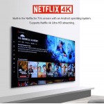 TV Box HAKOMiNi, Google/Netflix certificate, 4/32GB 4K, WiFi, Android 11